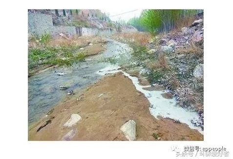 1517299878735997.jpg 11.webp.jpg